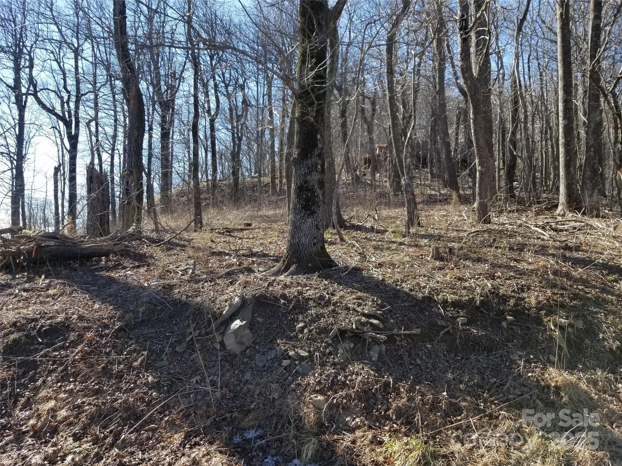 1.1 Acre Blockaders Den Road Columbus NC 28722