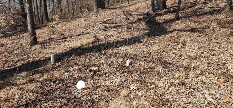 1.1 Acre Blockaders Den Road Columbus NC 28722
