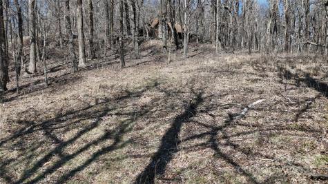 1.1 Acre Blockaders Den Road Columbus NC 28722