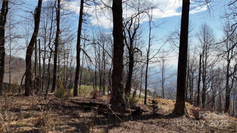 1.1 Acre Blockaders Den Road Columbus NC 28722