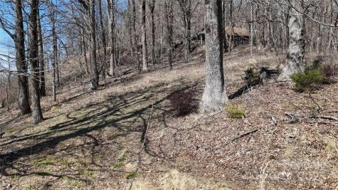 1.1 Acre Blockaders Den Road Columbus NC 28722