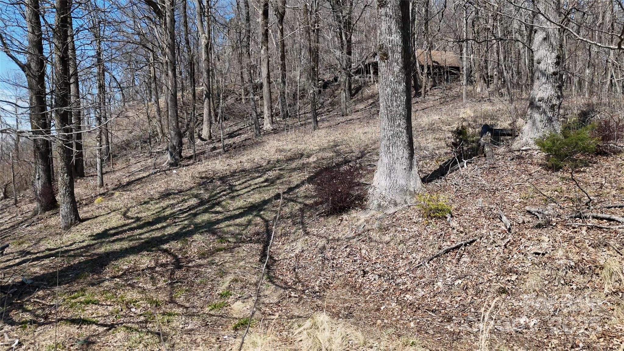 1.1 Acre Blockaders Den Road Columbus NC 28722