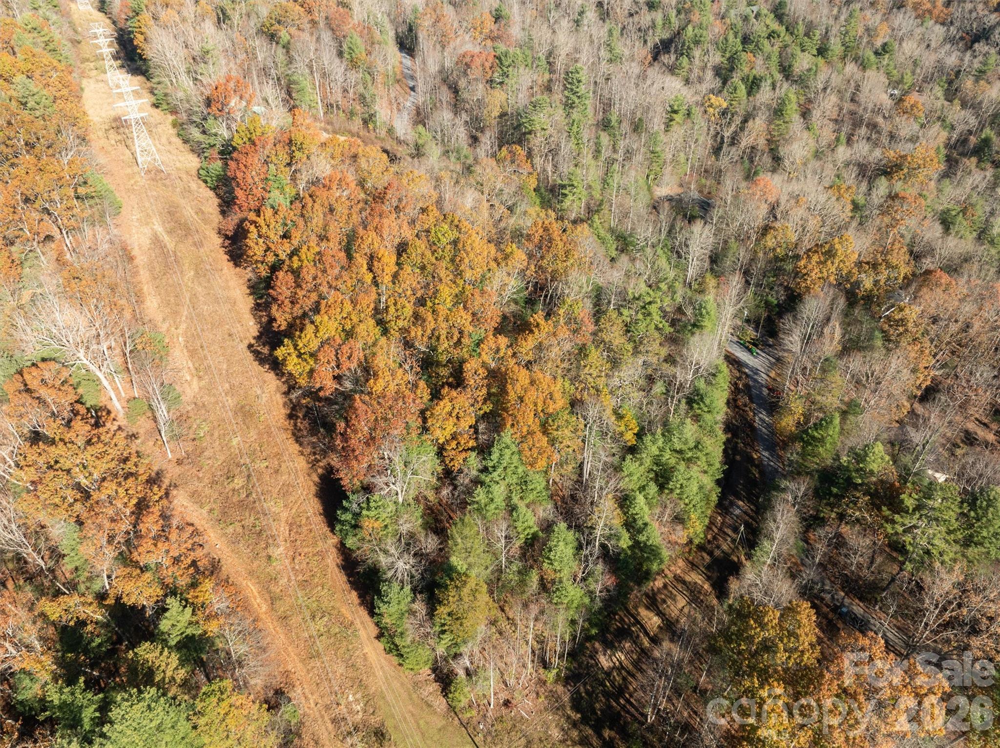 99999 Big Raven Lane Saluda NC 28773