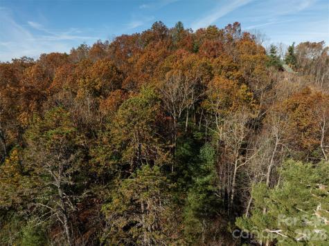 99999 Big Raven Lane Saluda NC 28773