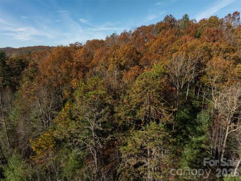 99999 Big Raven Lane Saluda NC 28773