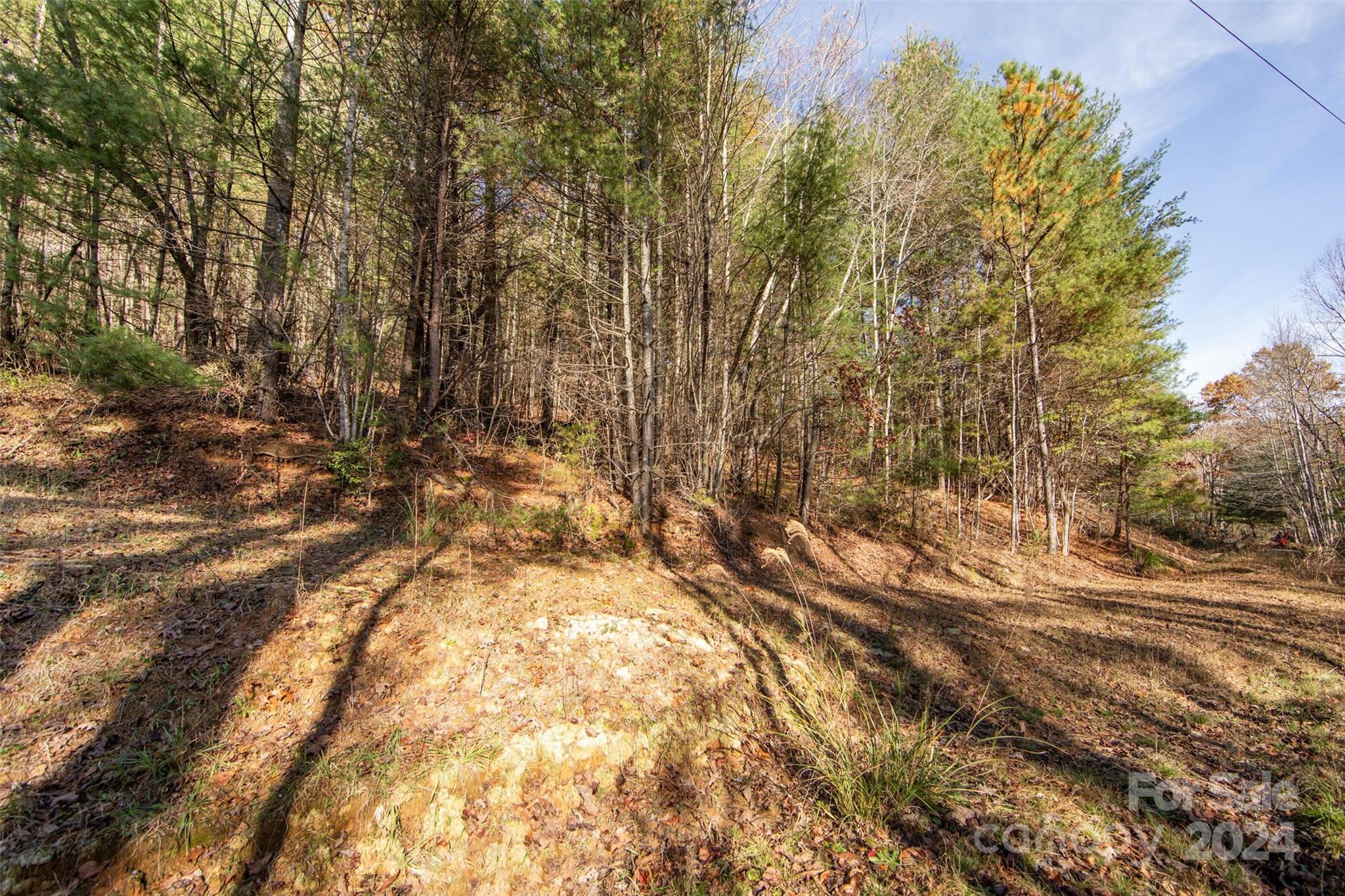 99999 Big Raven Lane Saluda NC 28773