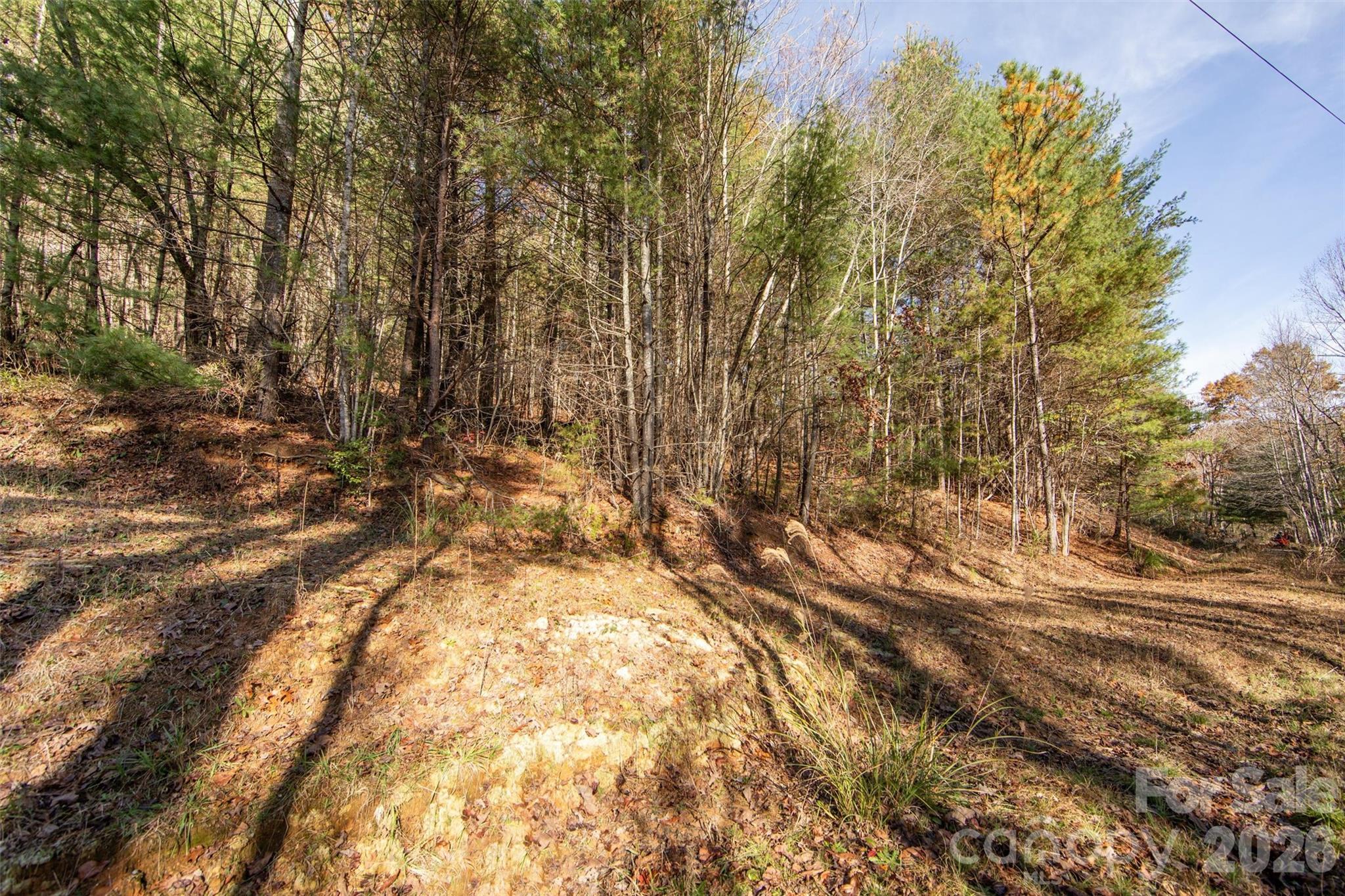 99999 Big Raven Lane Saluda NC 28773