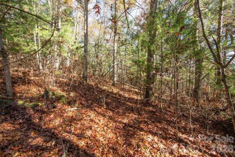 99999 Big Raven Lane Saluda NC 28773