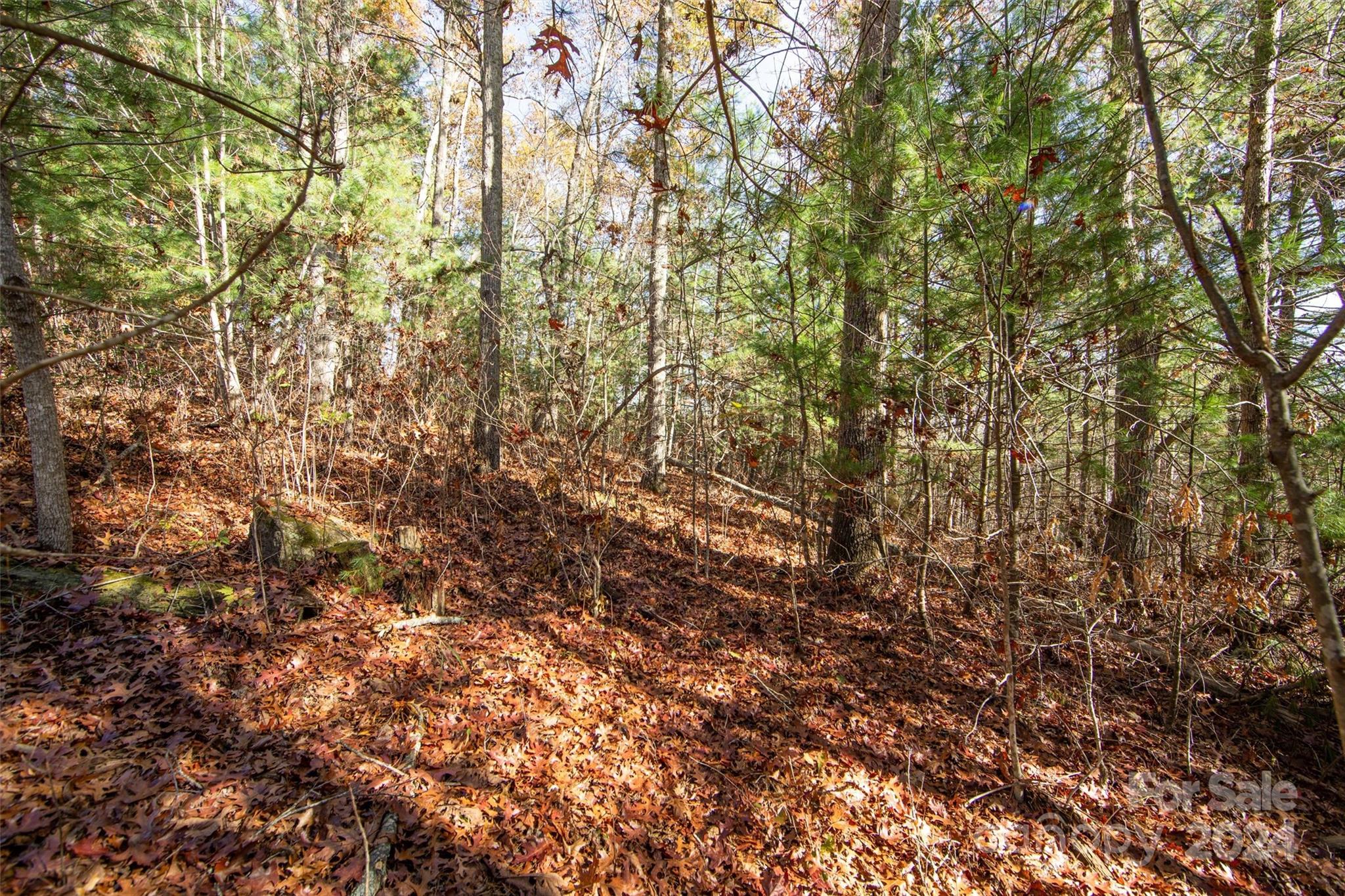 99999 Big Raven Lane Saluda NC 28773