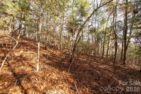 99999 Big Raven Lane Saluda NC 28773