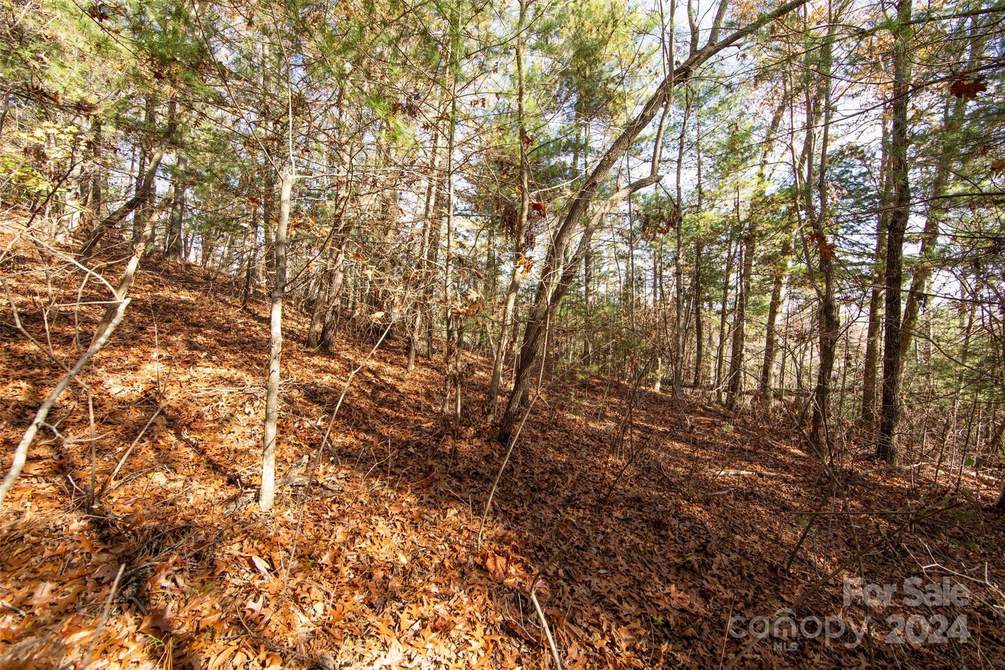 99999 Big Raven Lane Saluda NC 28773