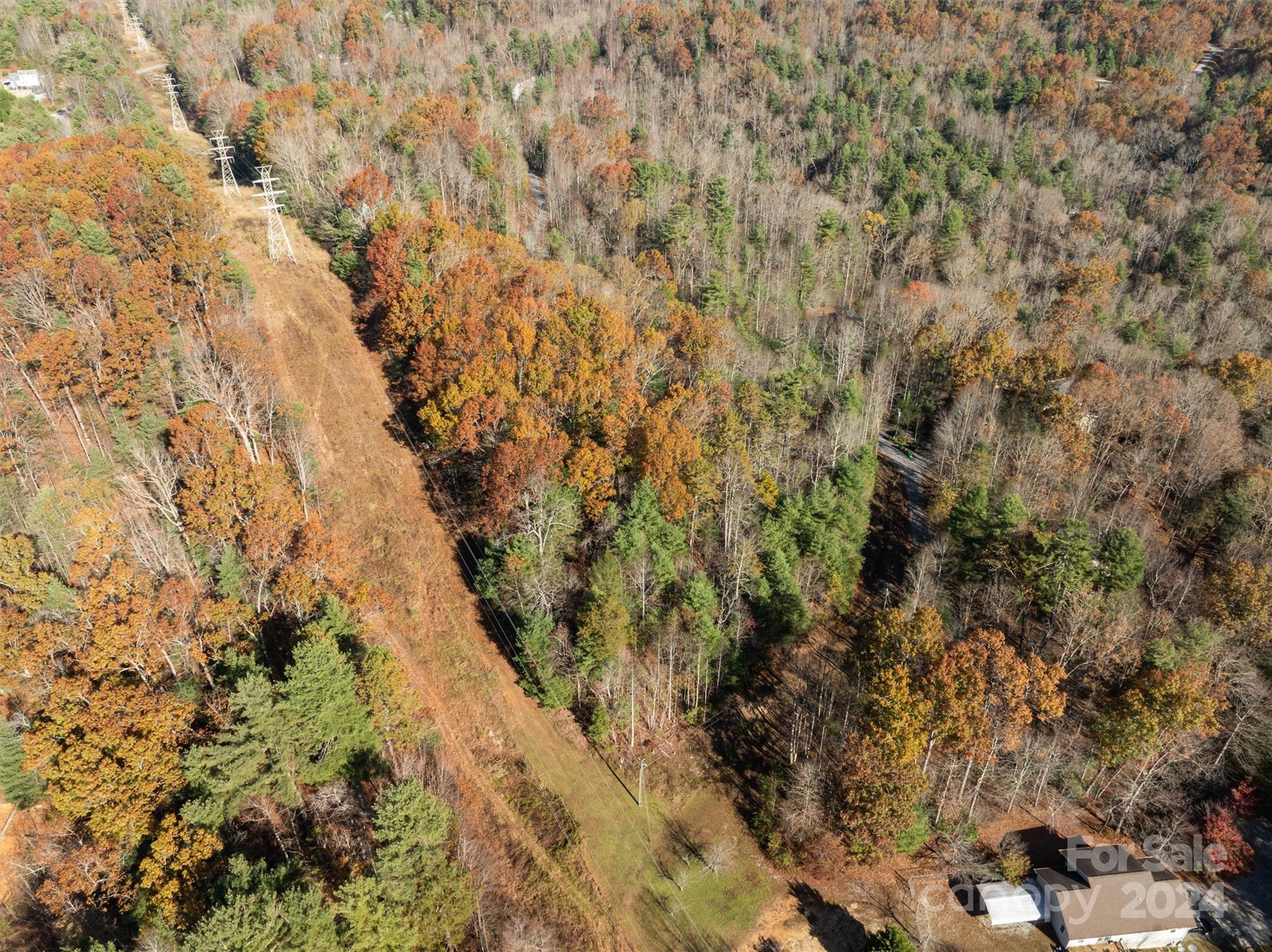 99999 Big Raven Lane Saluda NC 28773