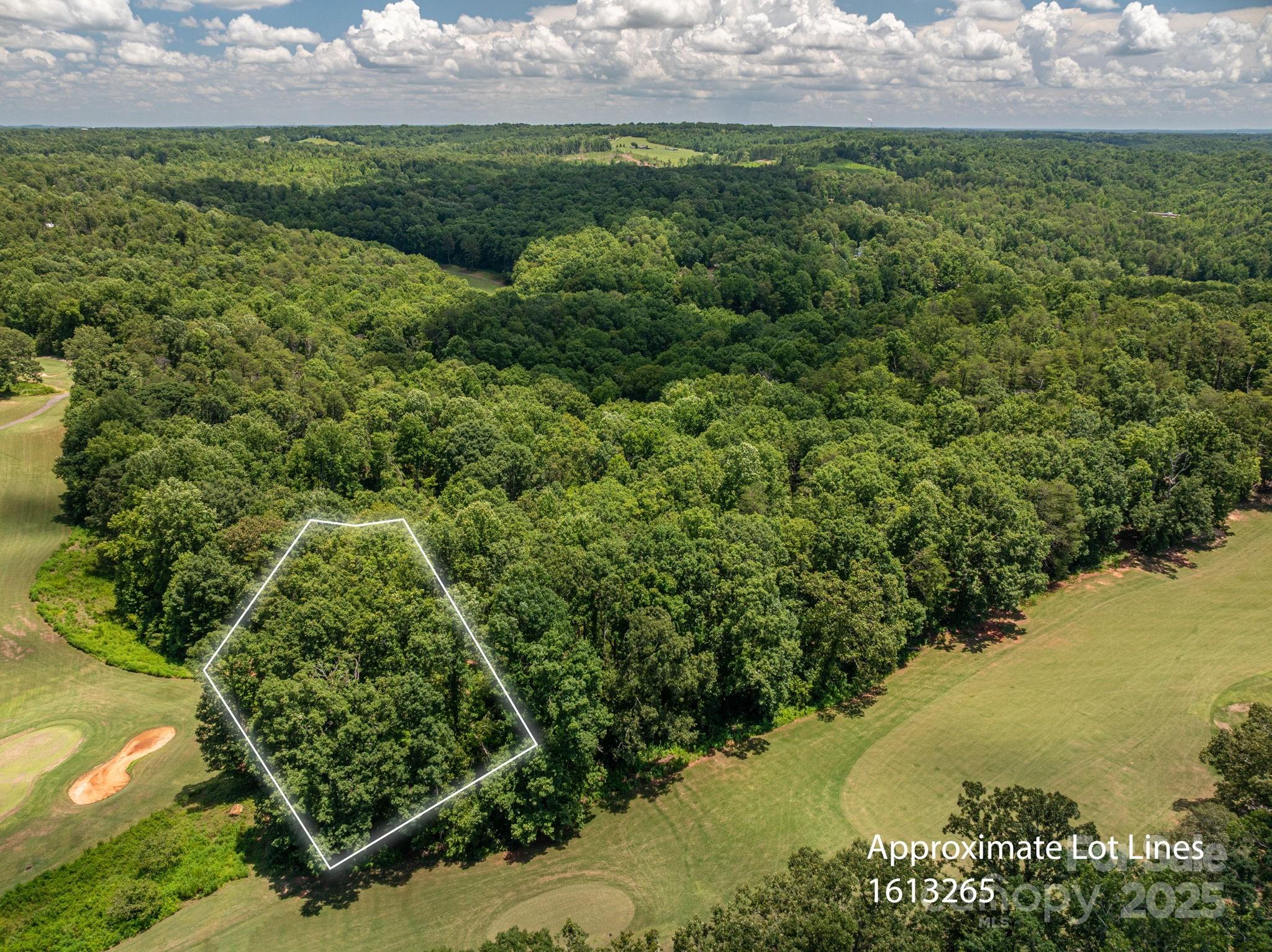 Lot 219 Plantation Drive Rutherfordton NC 28139