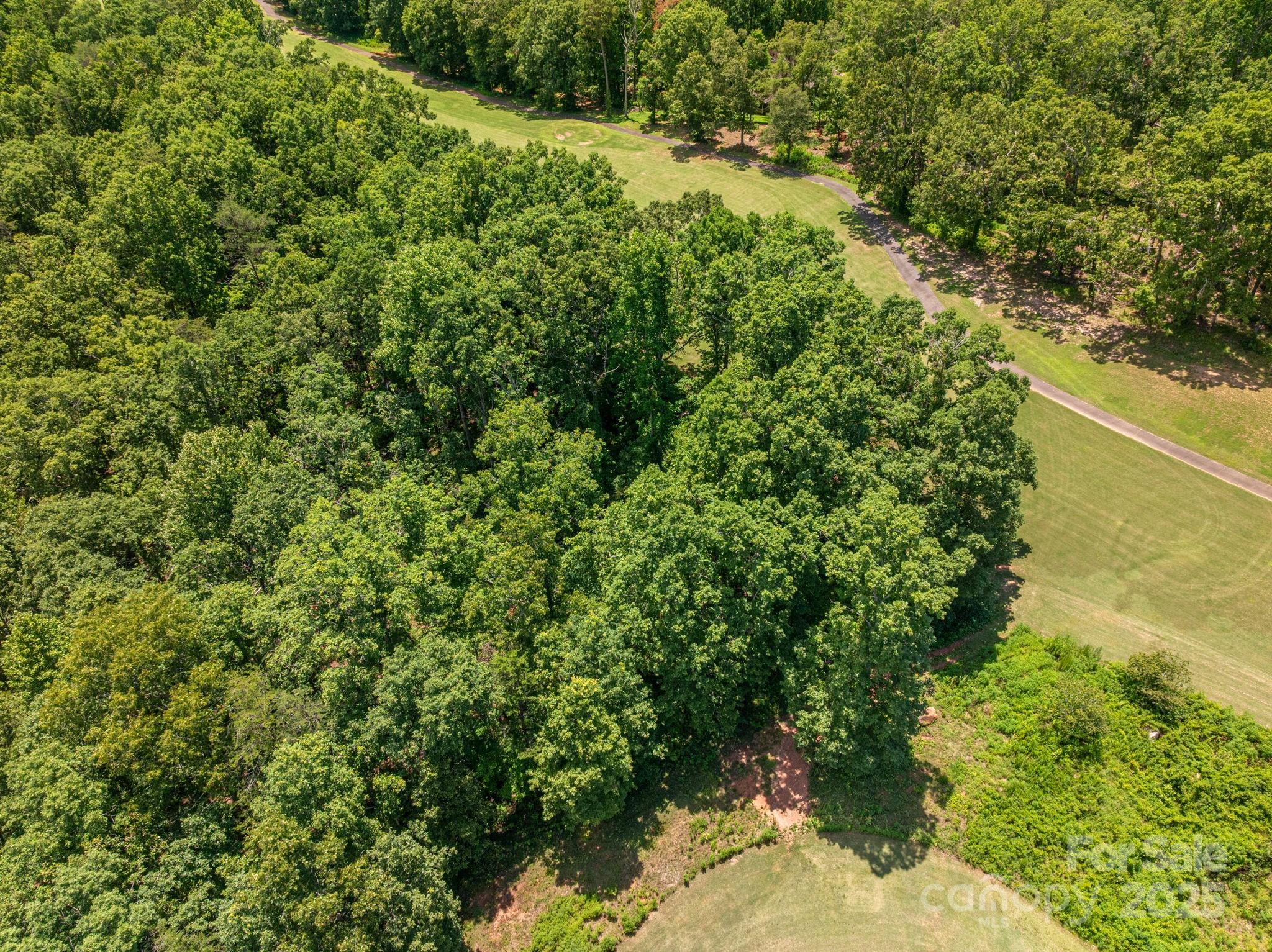 Lot 219 Plantation Drive Rutherfordton NC 28139