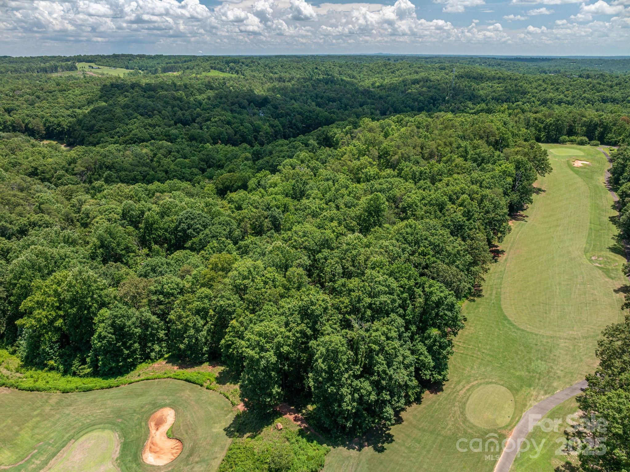 Lot 219 Plantation Drive Rutherfordton NC 28139