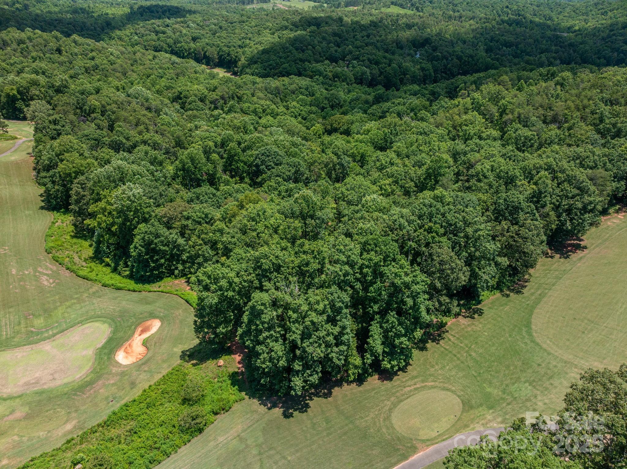 Lot 219 Plantation Drive Rutherfordton NC 28139