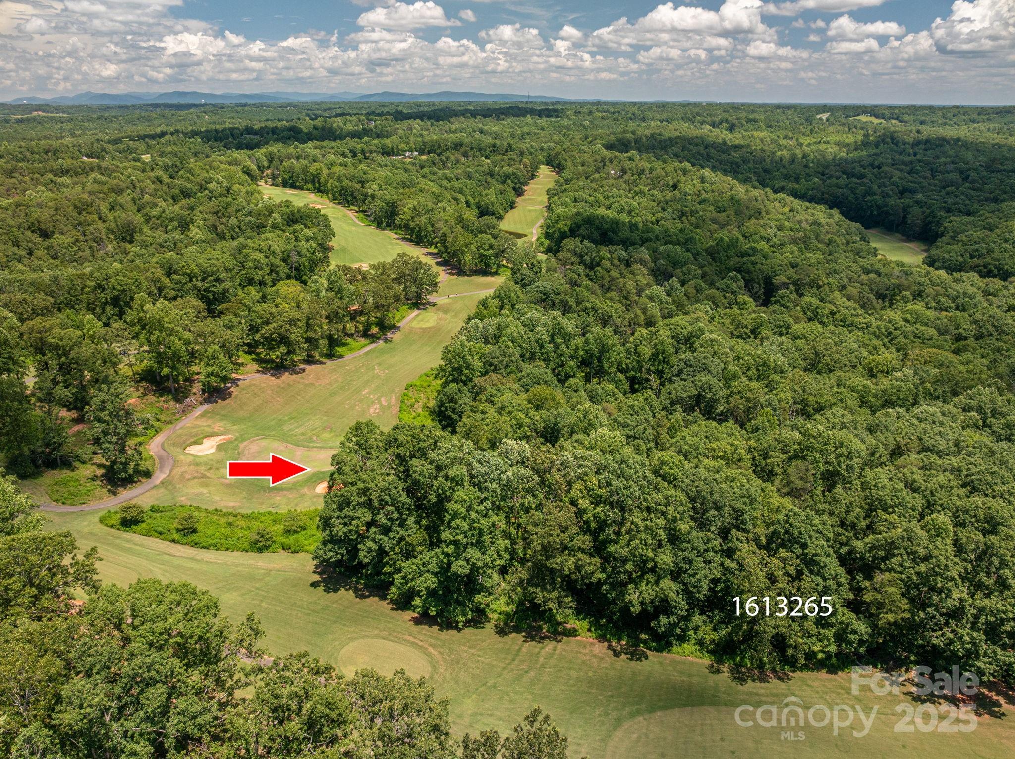 Lot 219 Plantation Drive Rutherfordton NC 28139
