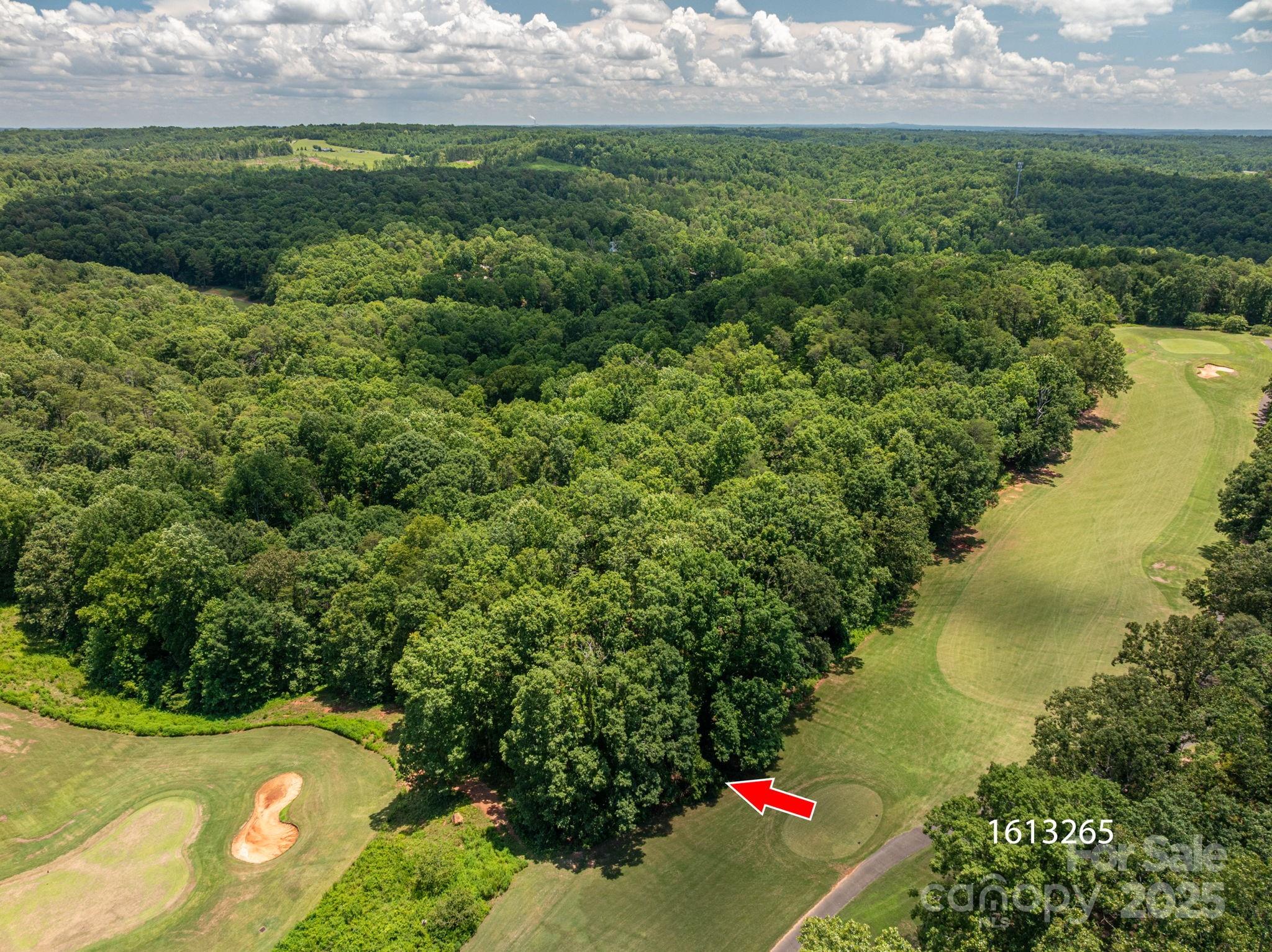 Lot 219 Plantation Drive Rutherfordton NC 28139