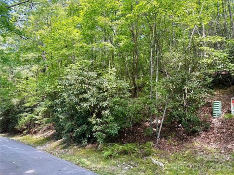 115 Black Oak Drive Sapphire NC 28774