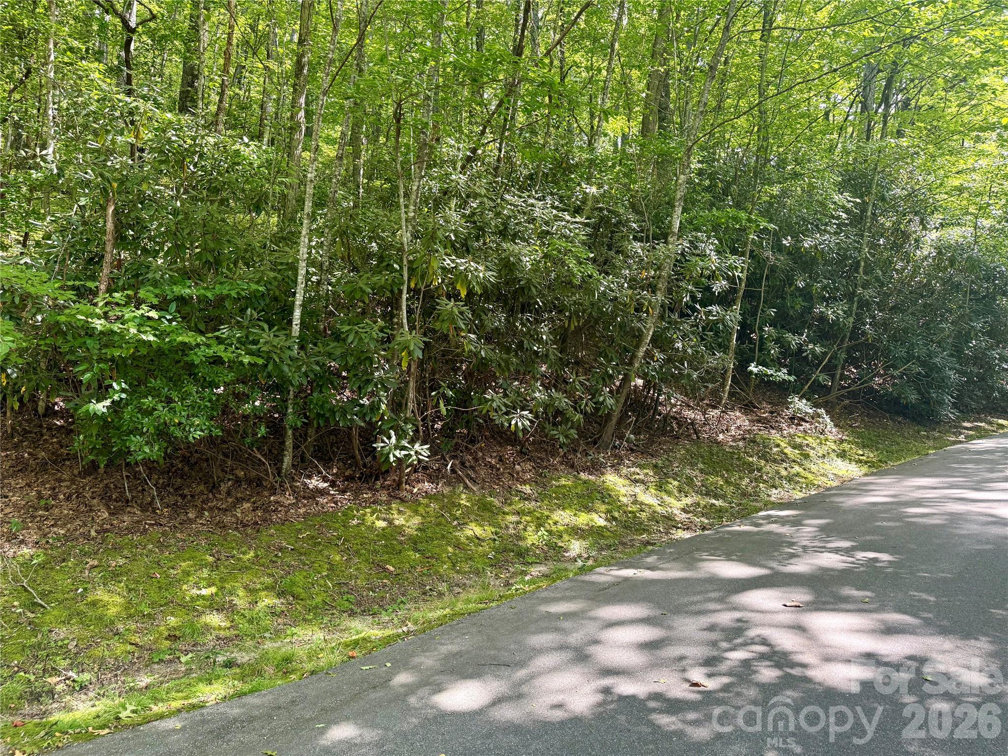 115 Black Oak Drive Sapphire NC 28774