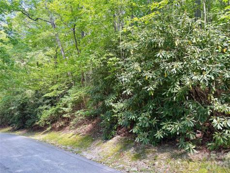 115 Black Oak Drive Sapphire NC 28774