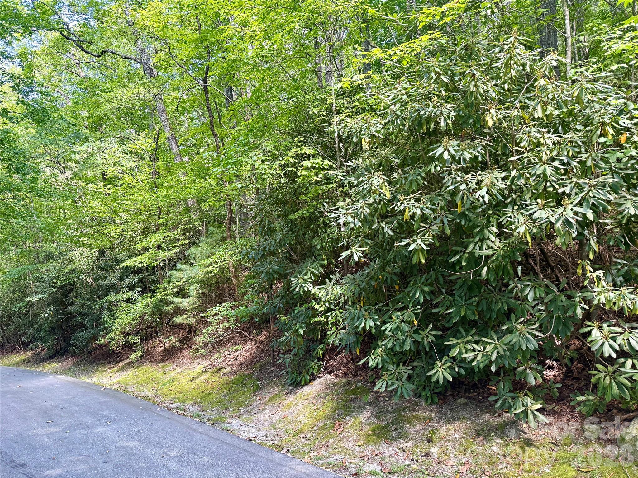 115 Black Oak Drive Sapphire NC 28774