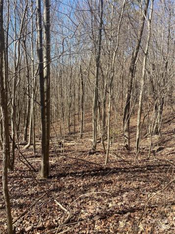 00 Nc Highway 18 Highway Vale NC 28168