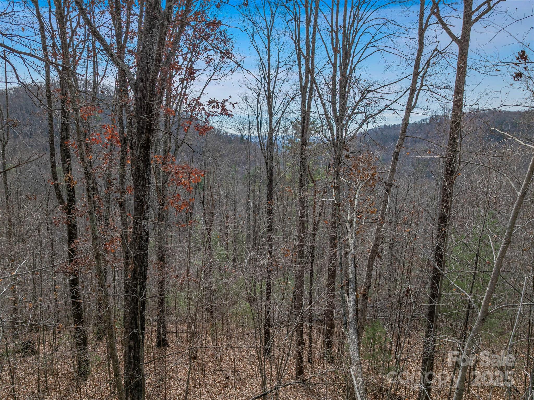 9999-18 Bob Barnwell Road Asheville NC 28803