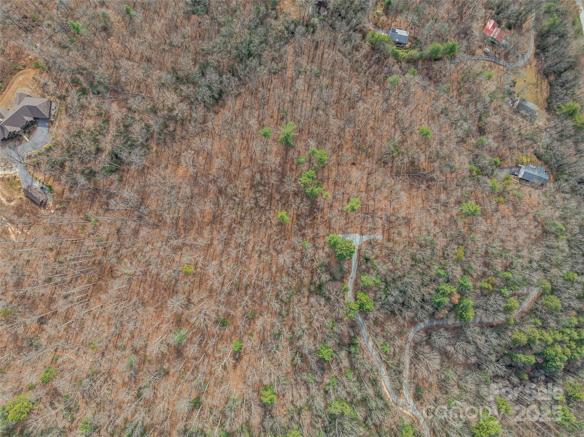 9999-18 Bob Barnwell Road Asheville NC 28803