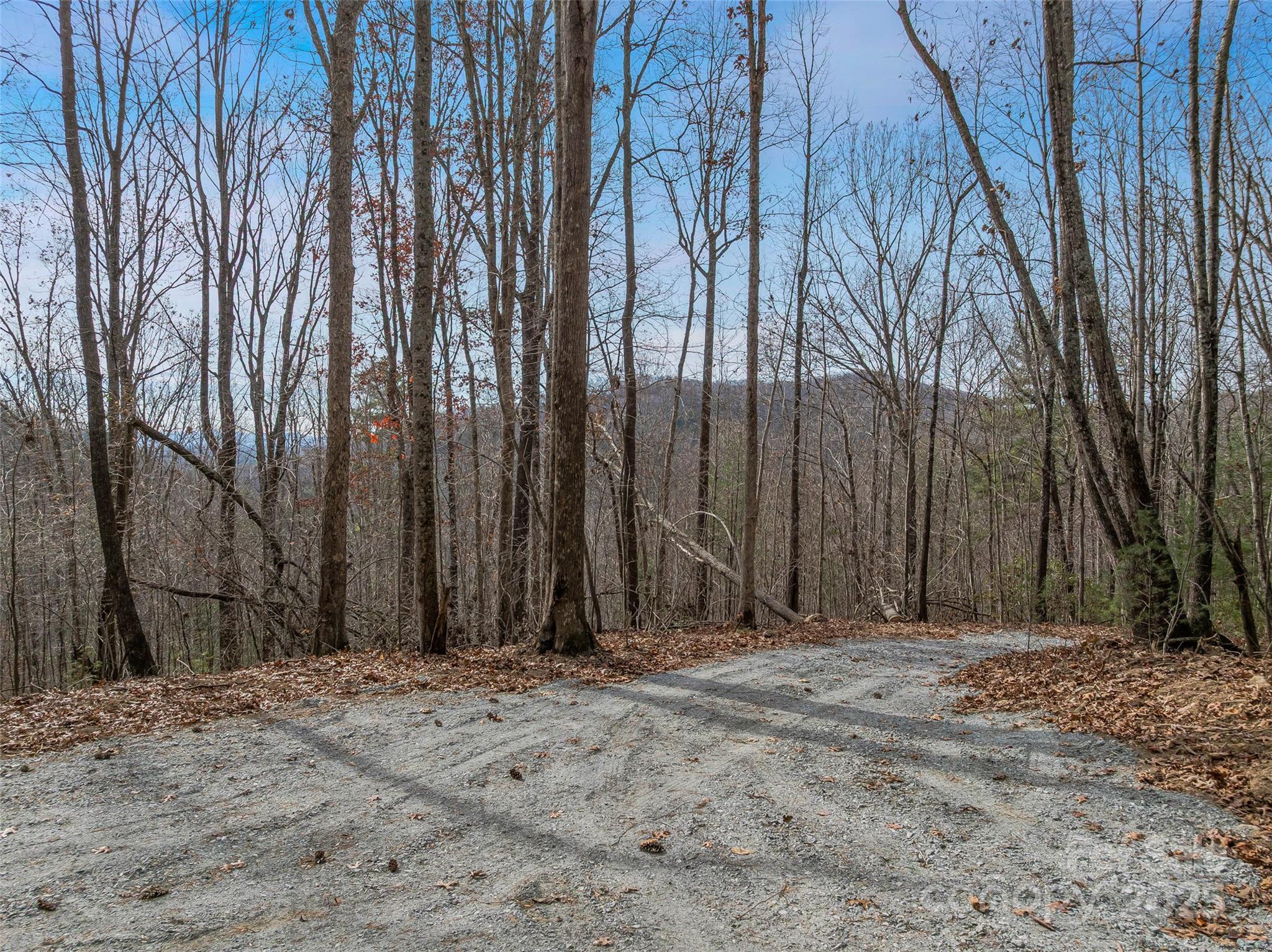 9999-18 Bob Barnwell Road Asheville NC 28803