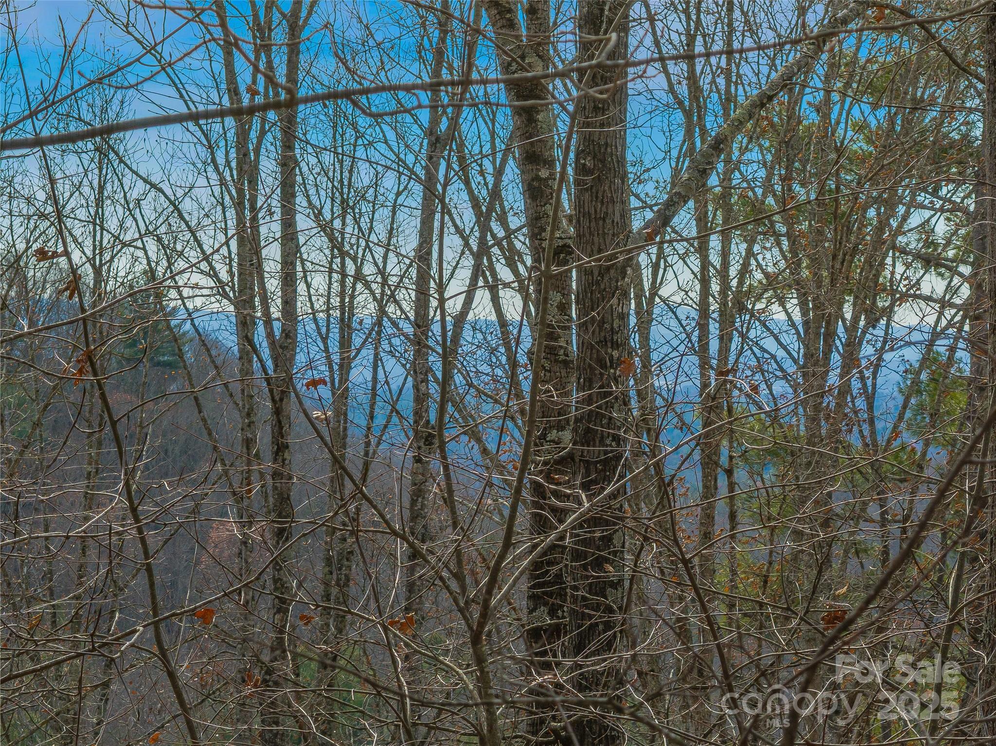 9999-18 Bob Barnwell Road Asheville NC 28803