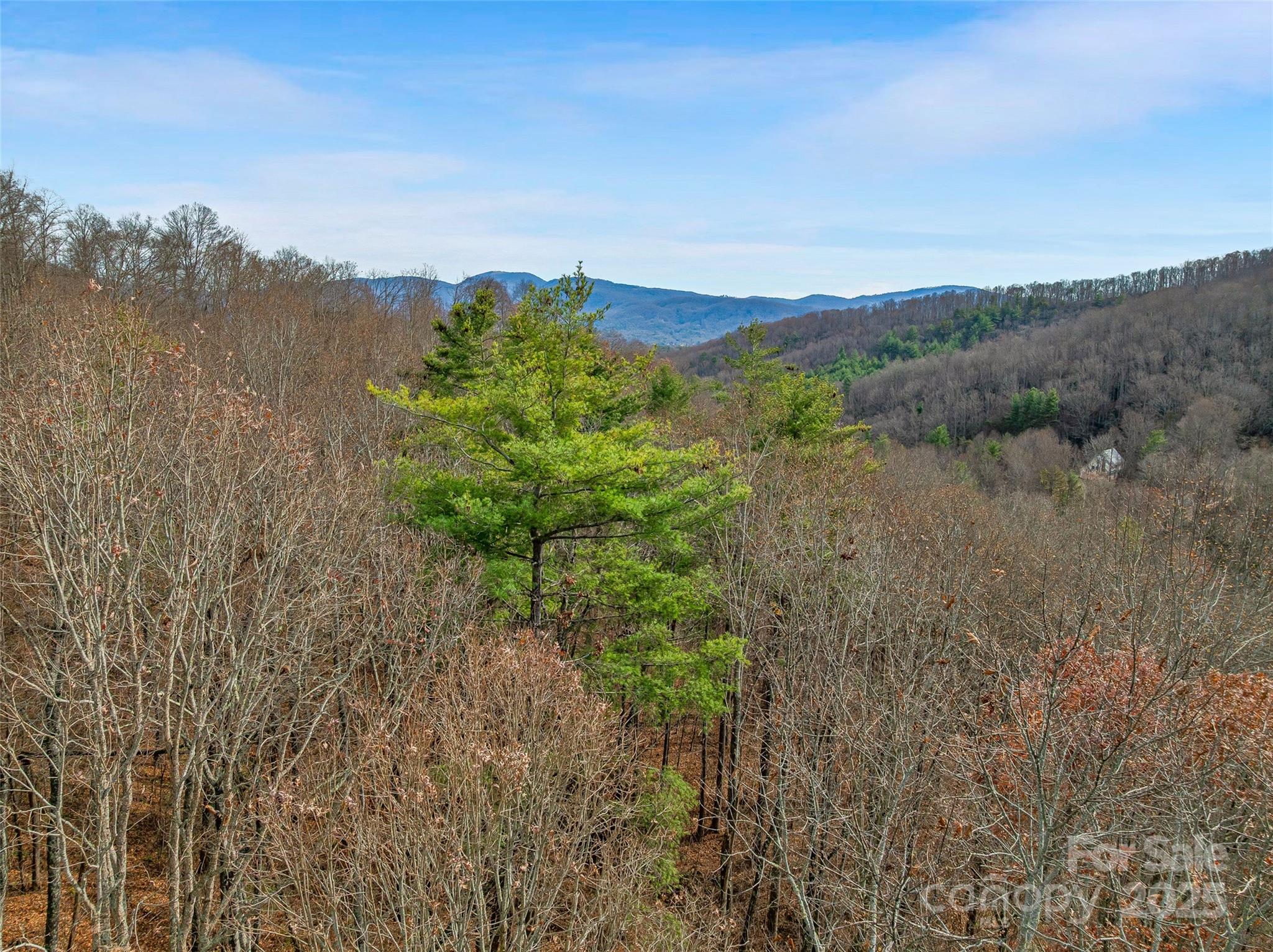 9999-18 Bob Barnwell Road Asheville NC 28803