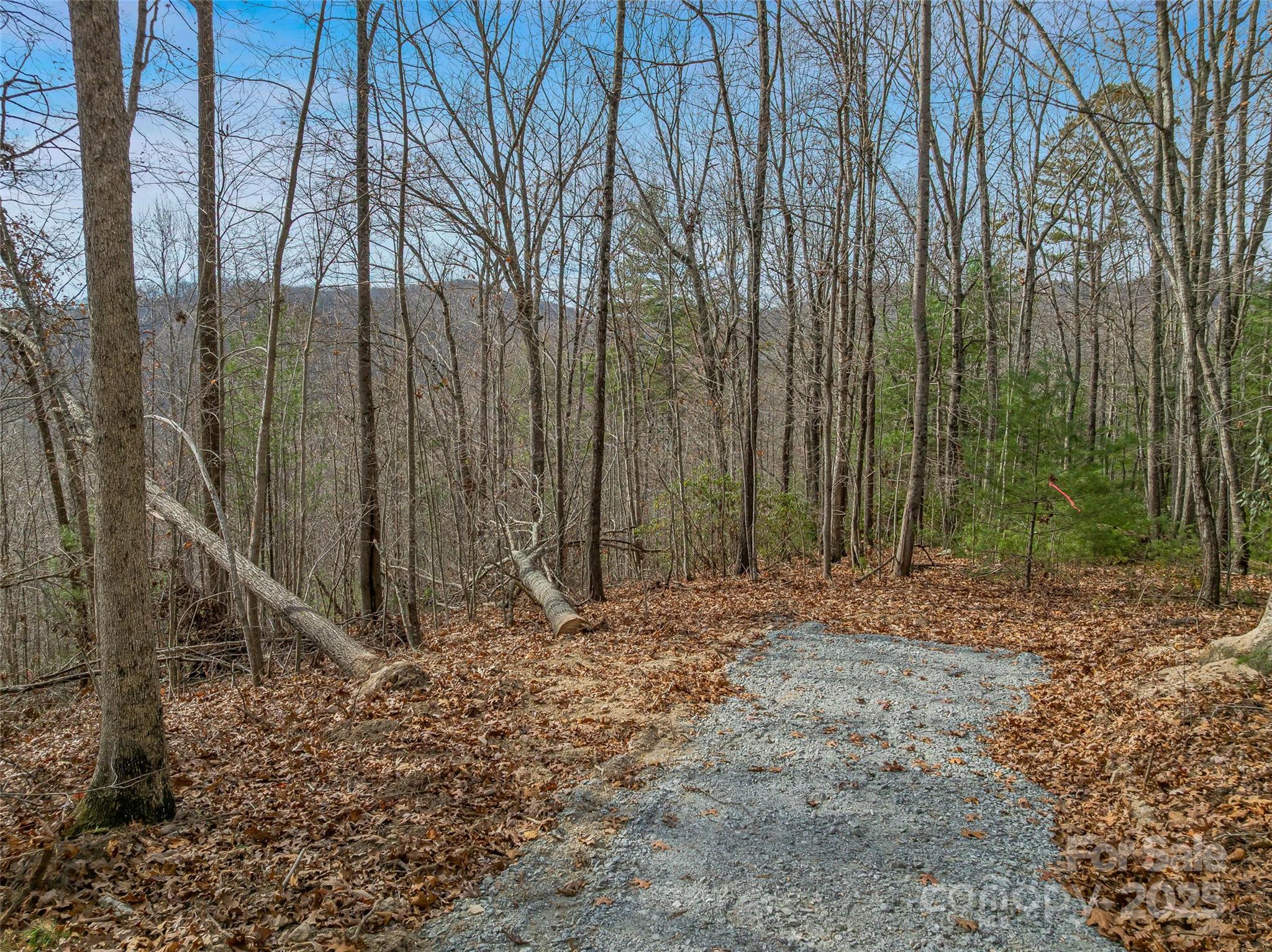 9999-18 Bob Barnwell Road Asheville NC 28803