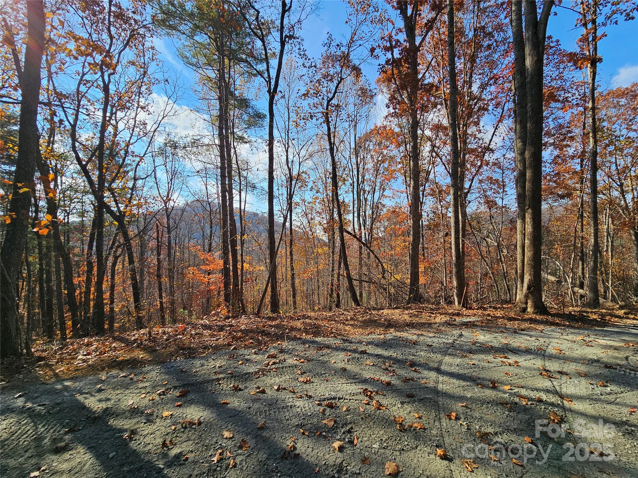 9999-18 Bob Barnwell Road Asheville NC 28803