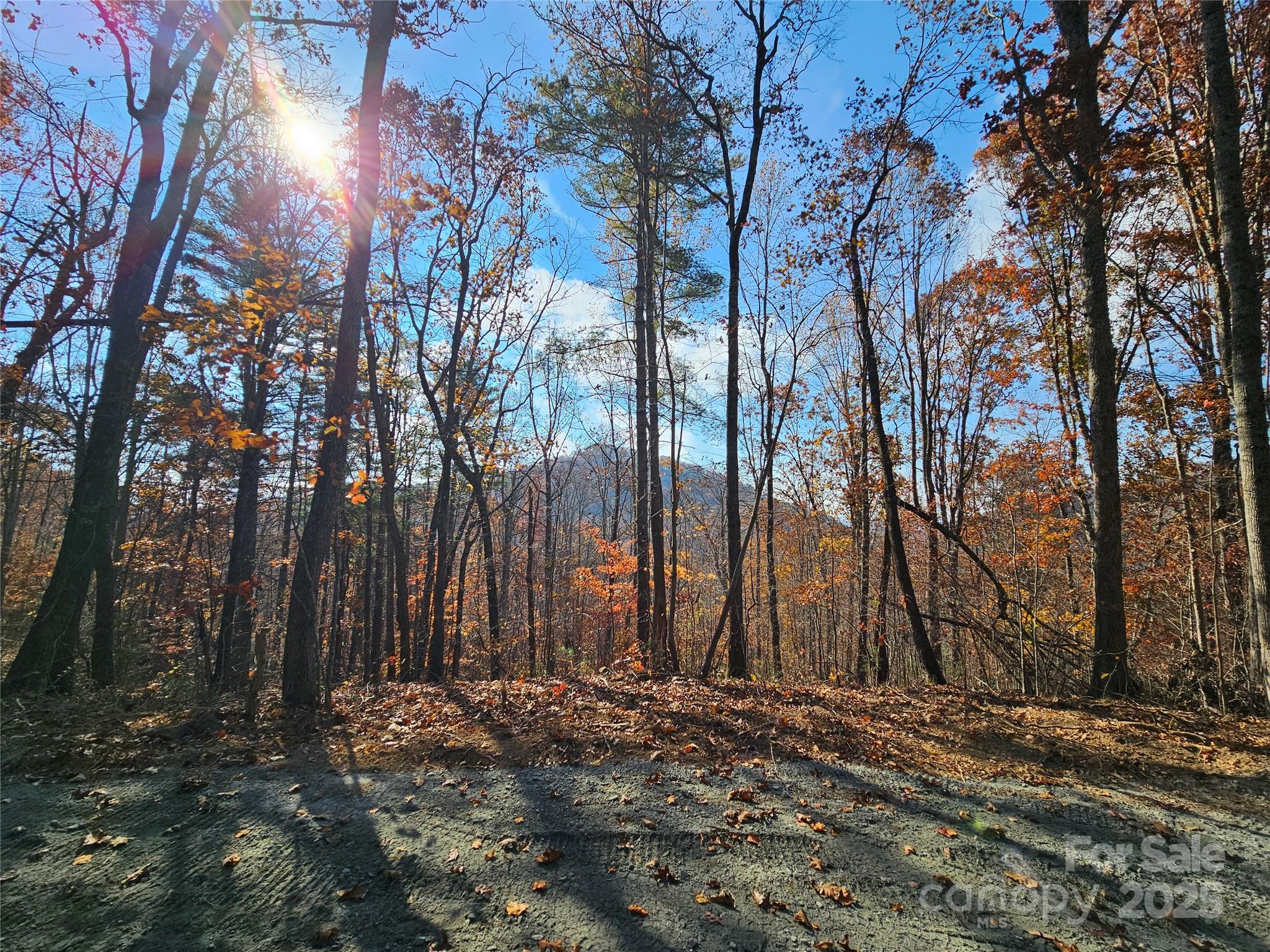 9999-18 Bob Barnwell Road Asheville NC 28803