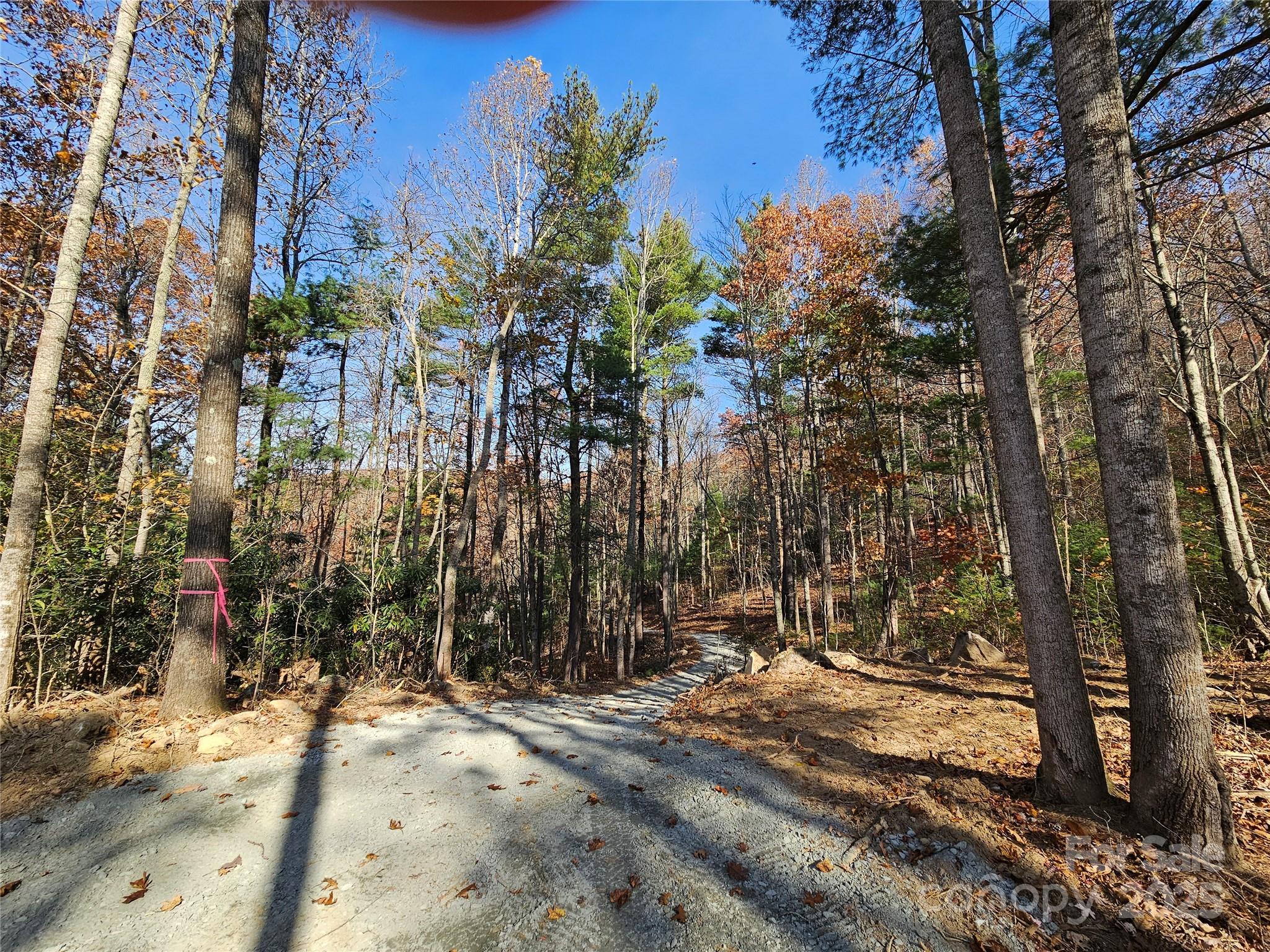9999-18 Bob Barnwell Road Asheville NC 28803