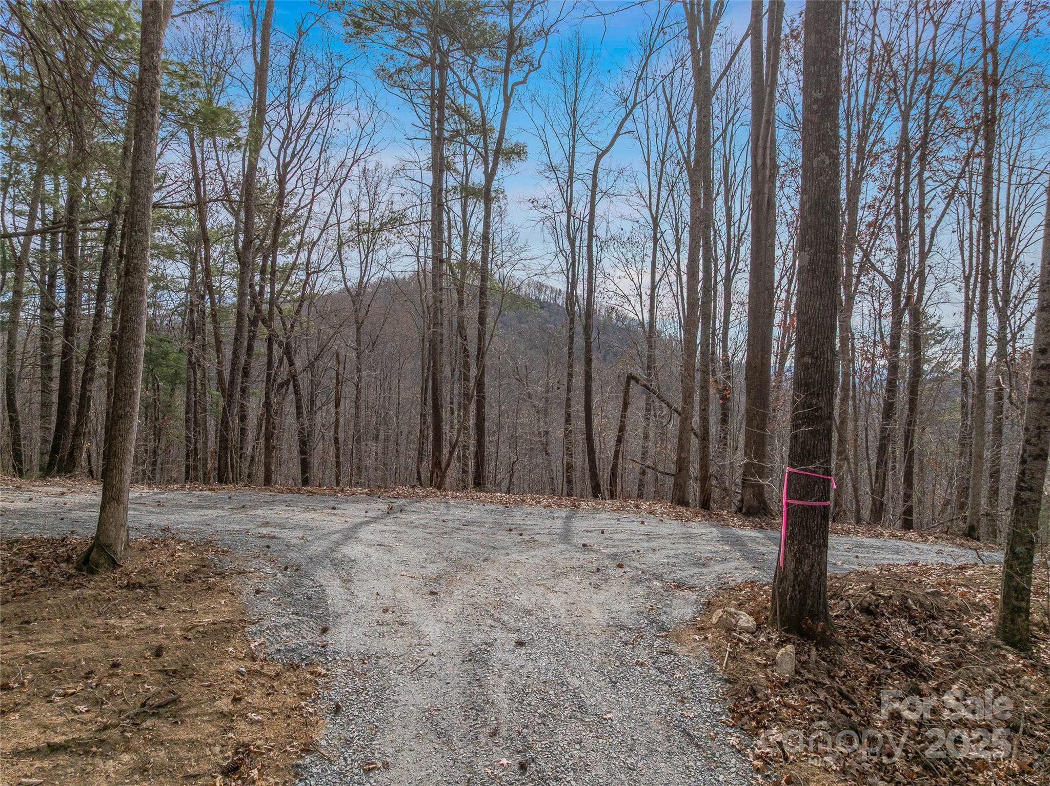 9999-18 Bob Barnwell Road Asheville NC 28803
