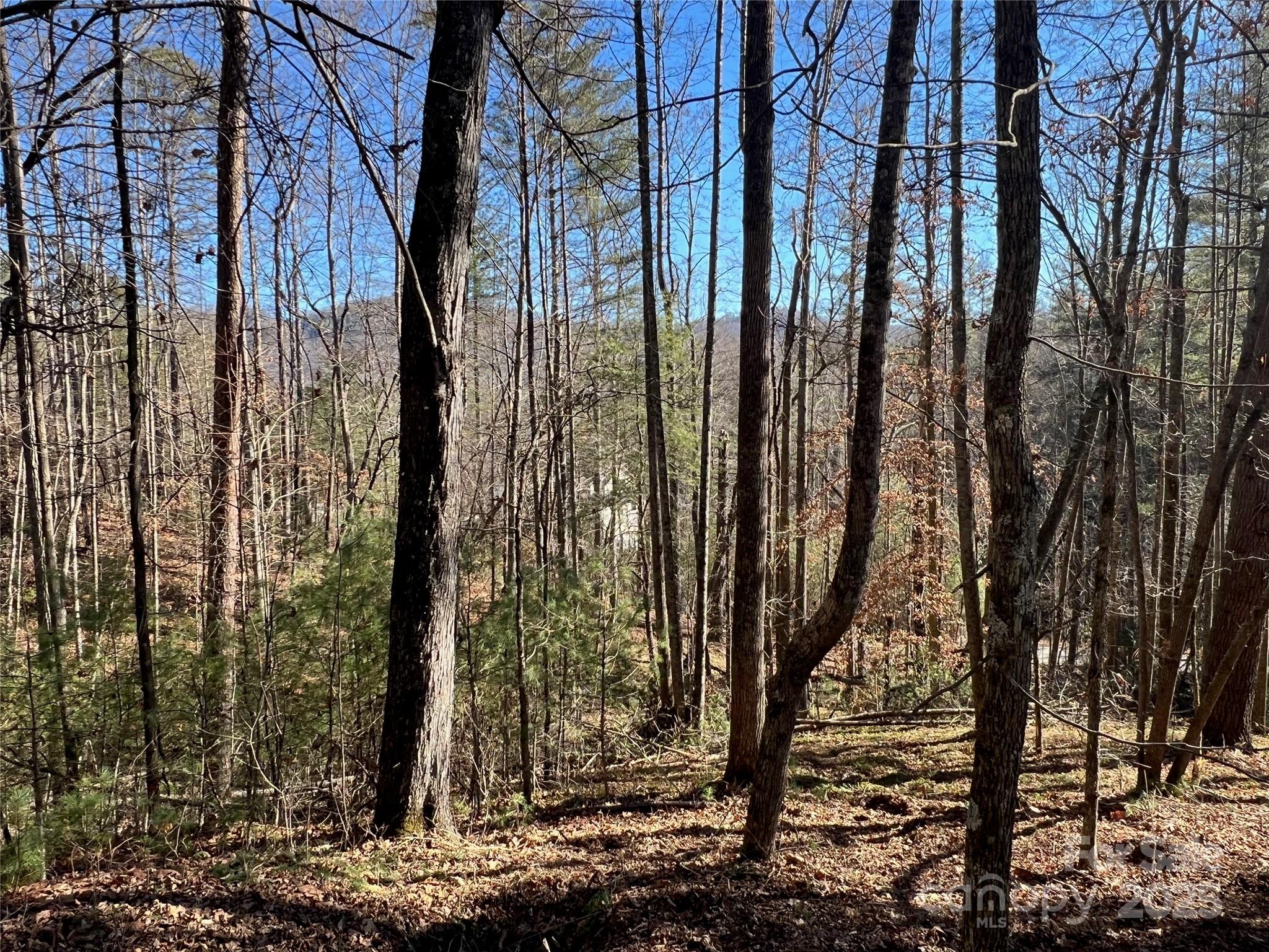 147 Falling Leaves Lane Hendersonville NC 28792