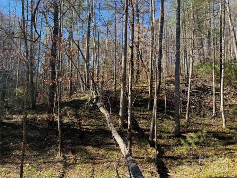 147 Falling Leaves Lane Hendersonville NC 28792
