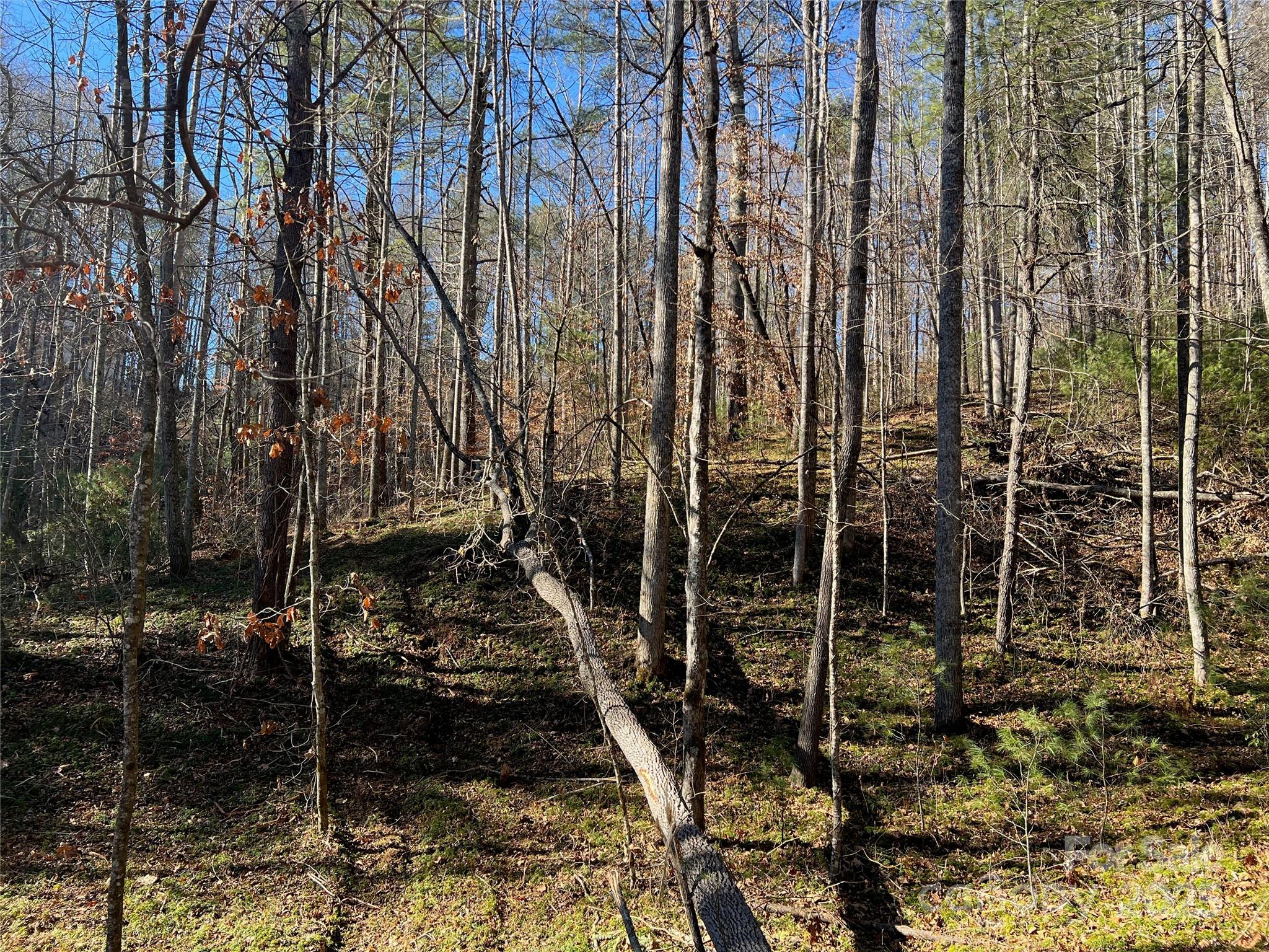147 Falling Leaves Lane Hendersonville NC 28792