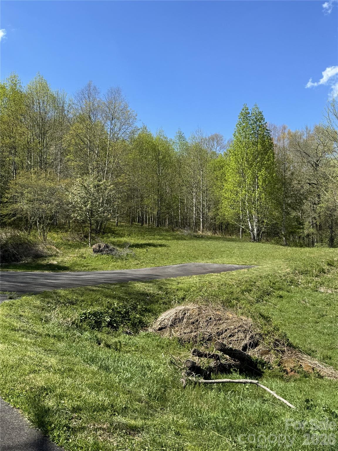 Lot 47a Elk Creek Mountain Parkway Todd NC 28684