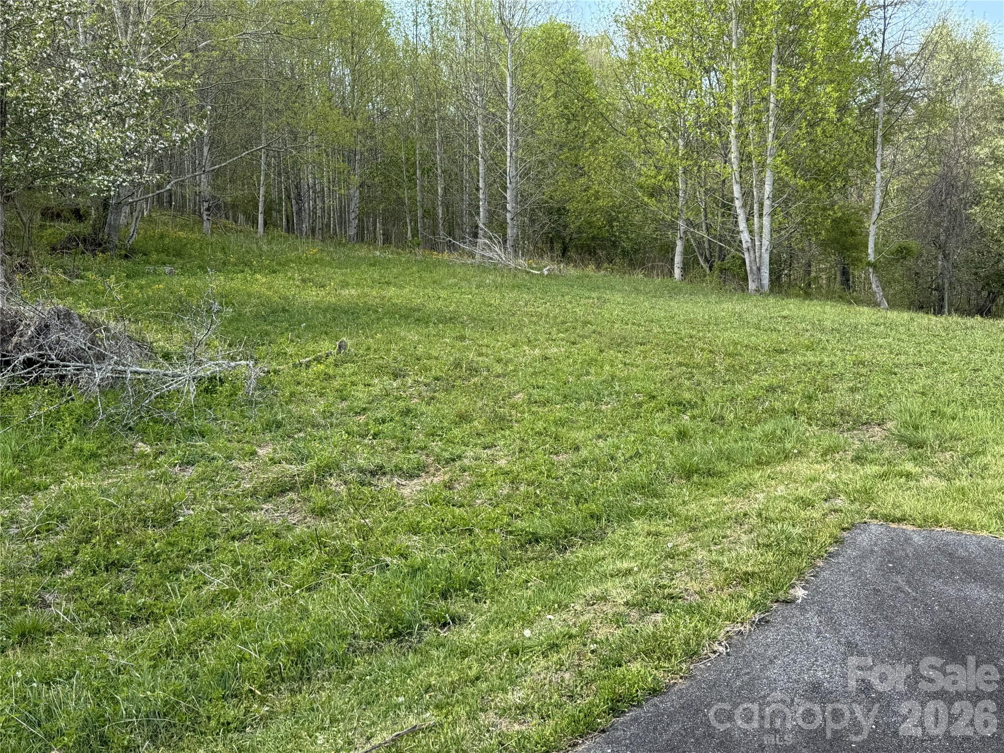 Lot 47a Elk Creek Mountain Parkway Todd NC 28684