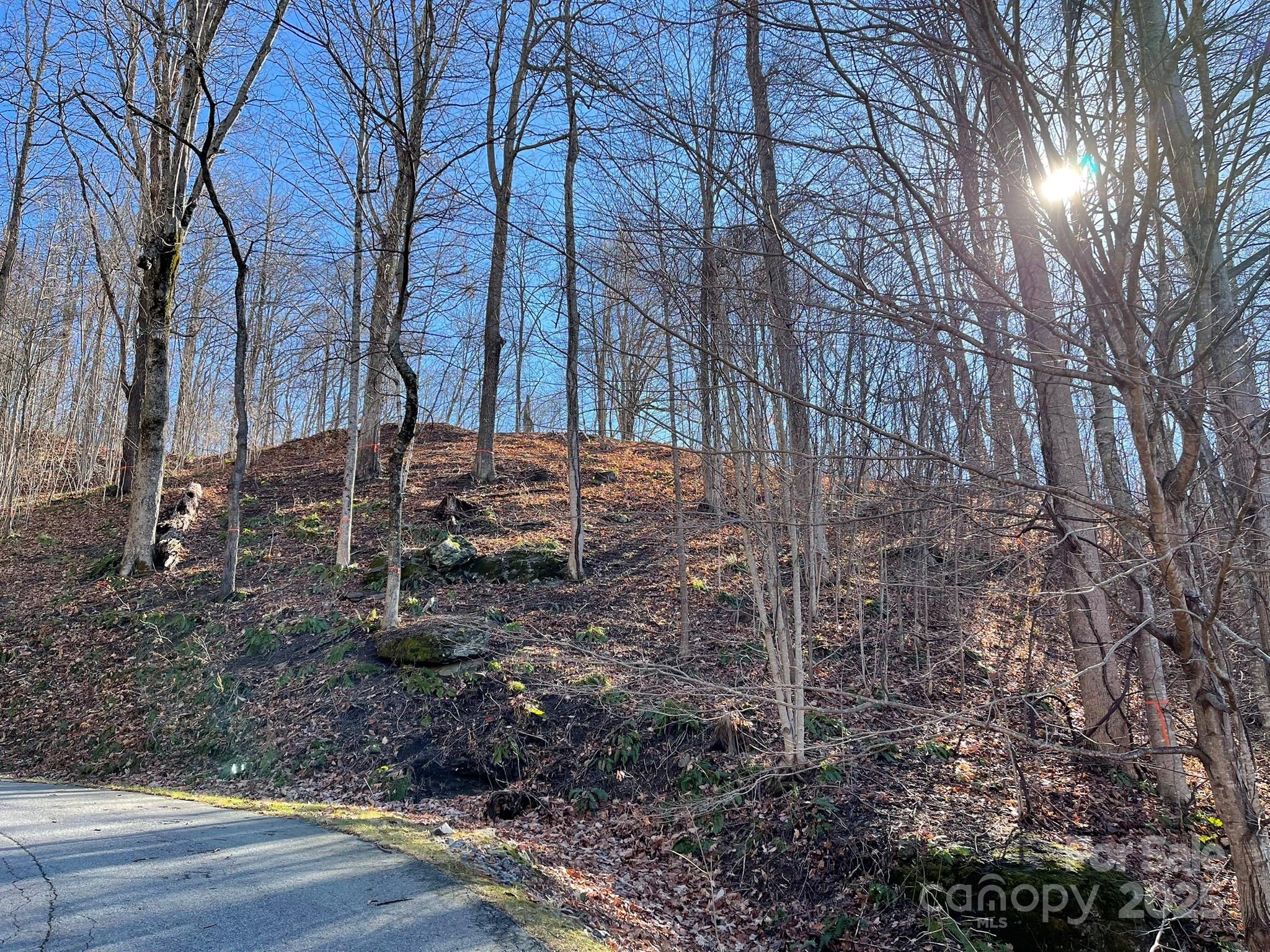 00 Weatherwatch Lane Waynesville NC 28786
