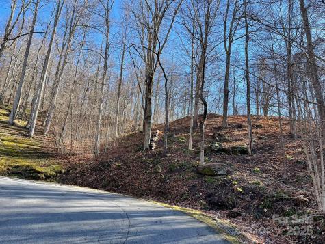 00 Weatherwatch Lane Waynesville NC 28786