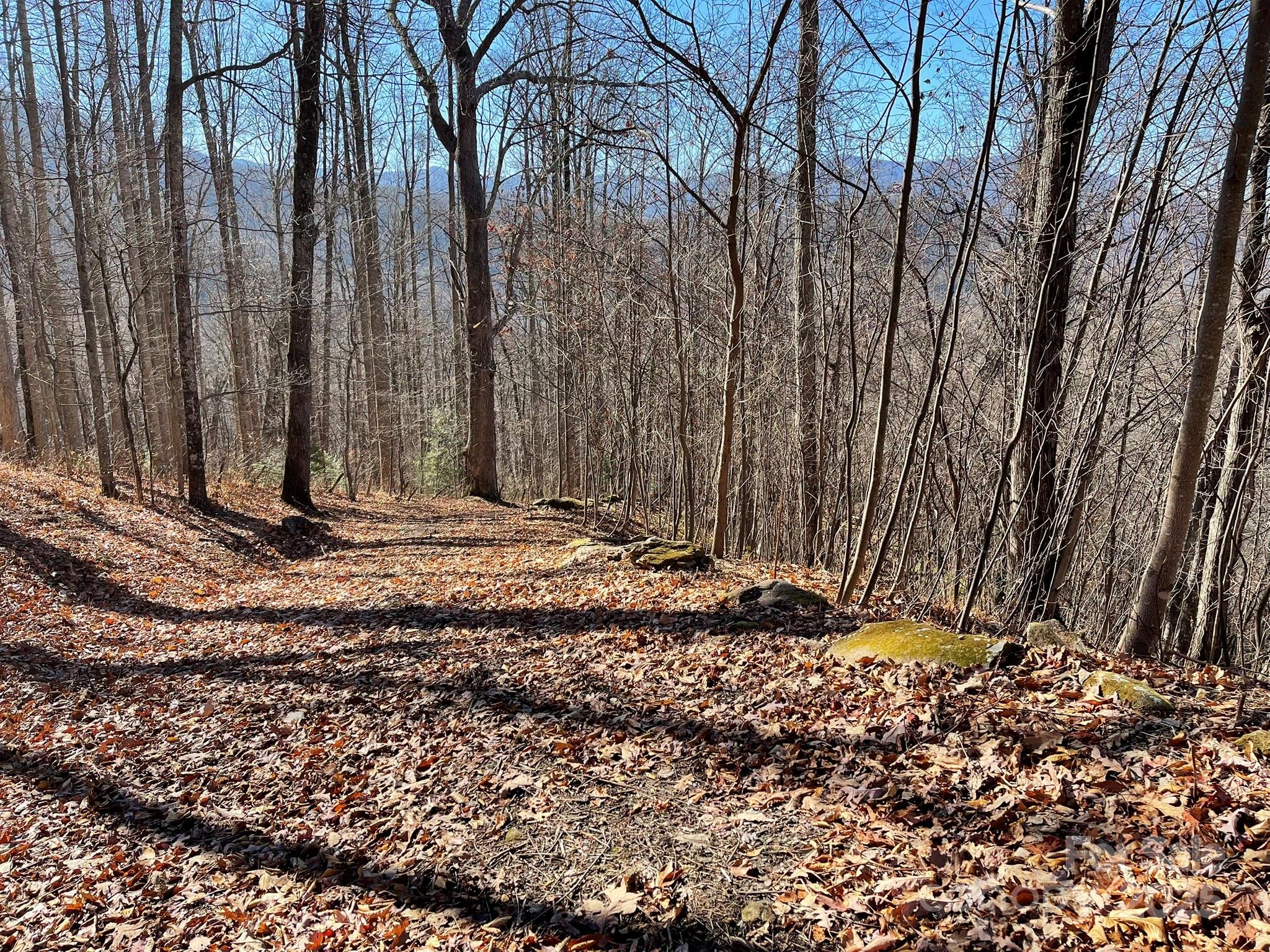 00 Weatherwatch Lane Waynesville NC 28786