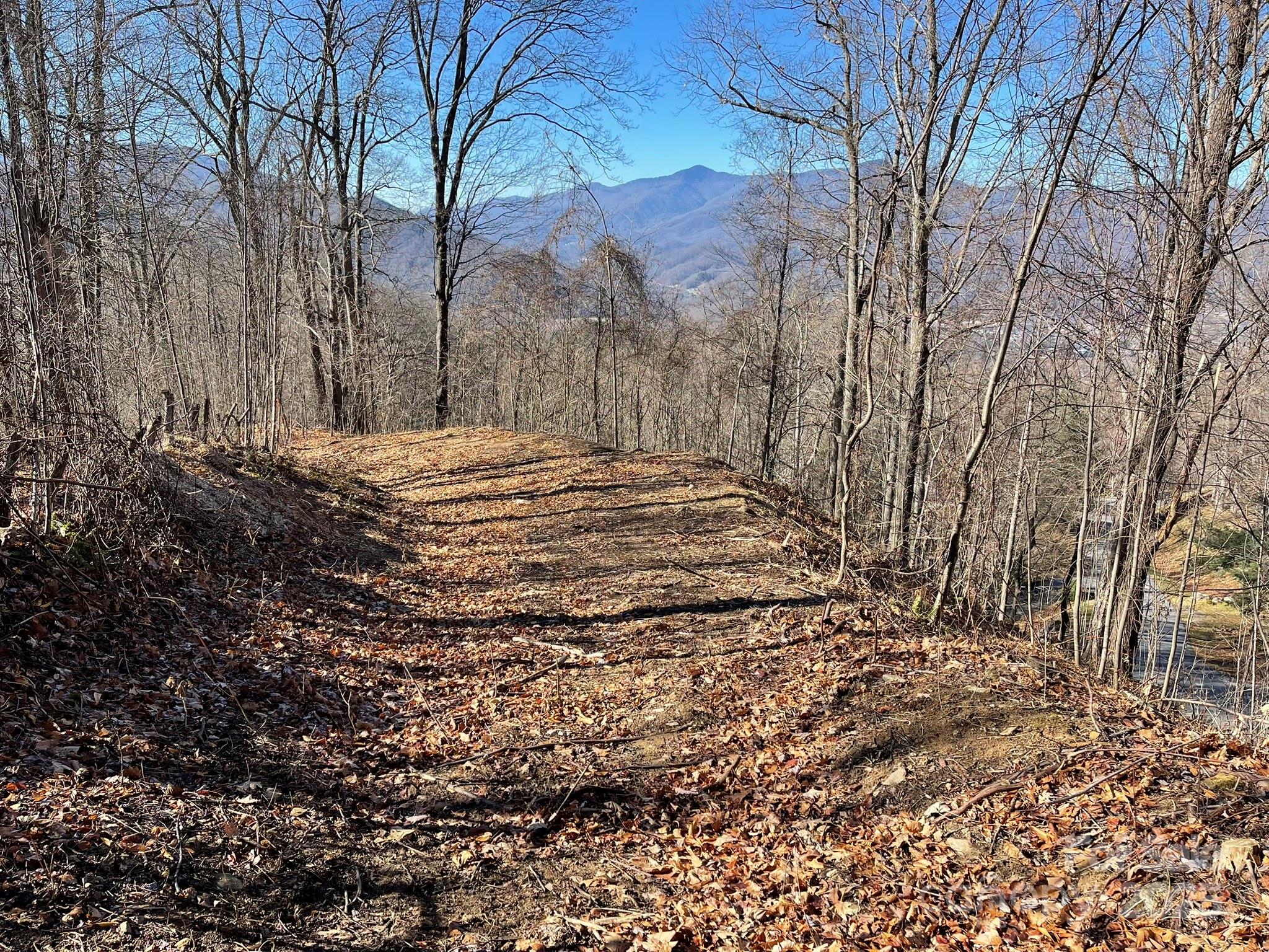 00 Weatherwatch Lane Waynesville NC 28786