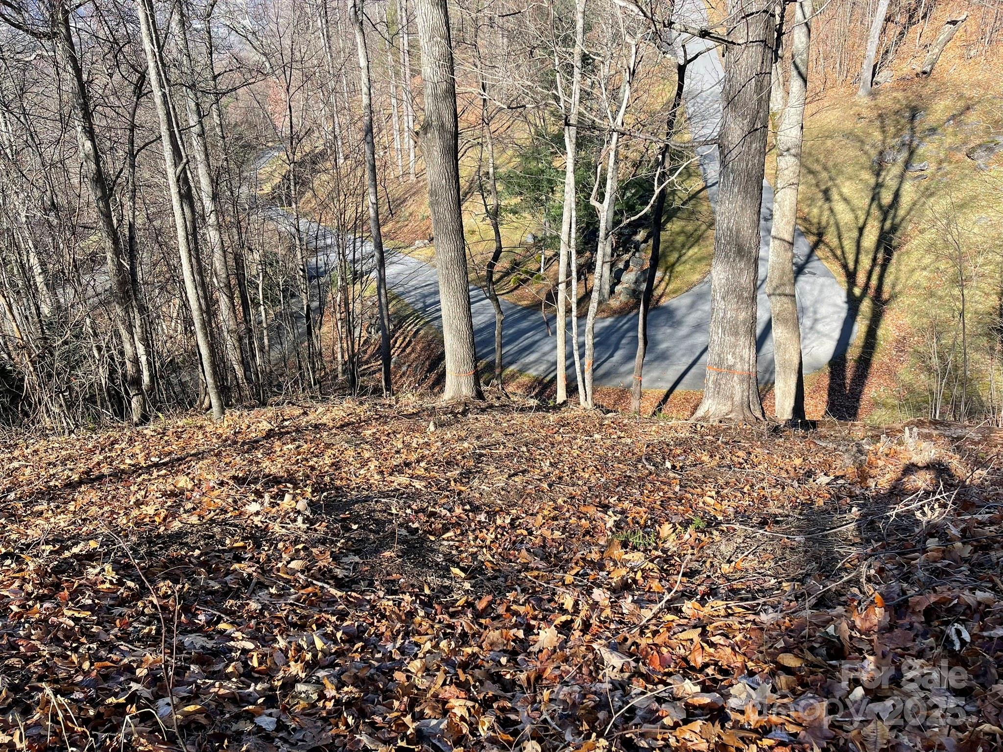 00 Weatherwatch Lane Waynesville NC 28786