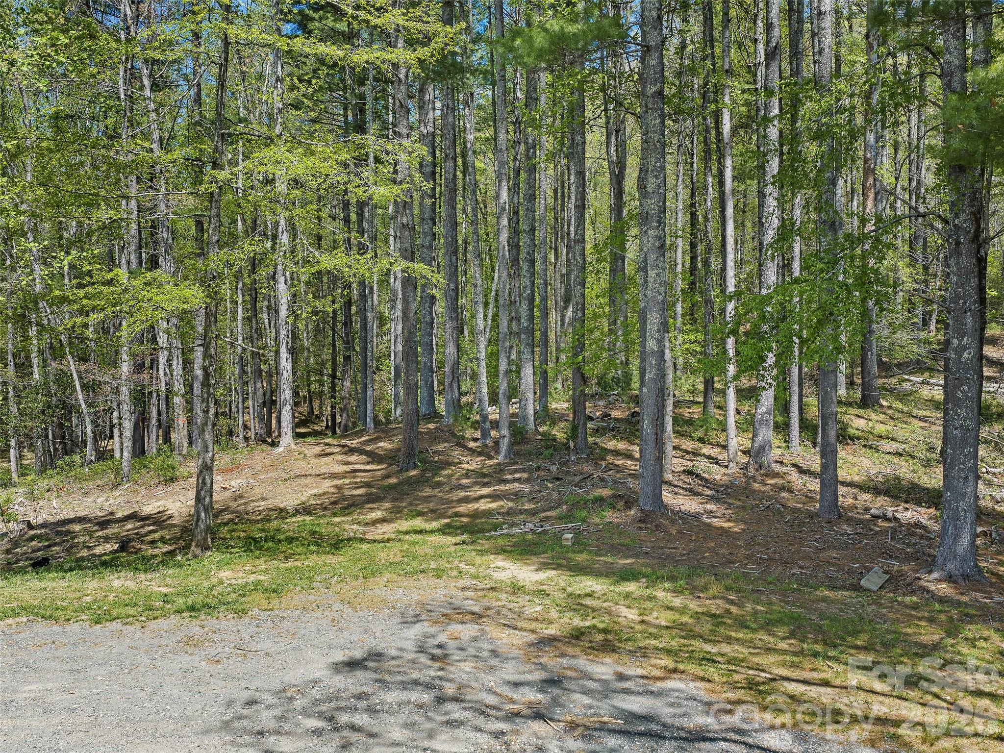 105 Satinwood Drive Burnsville NC 28714