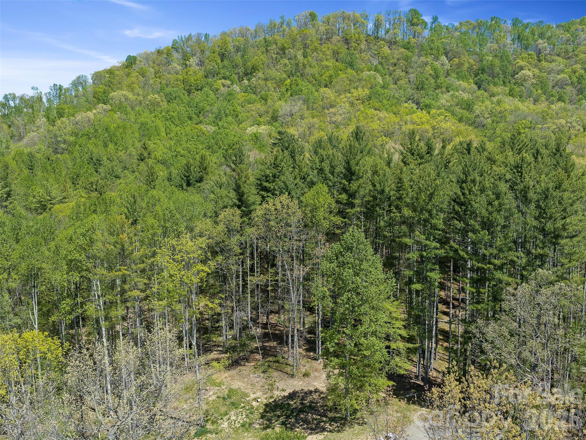 105 Satinwood Drive Burnsville NC 28714
