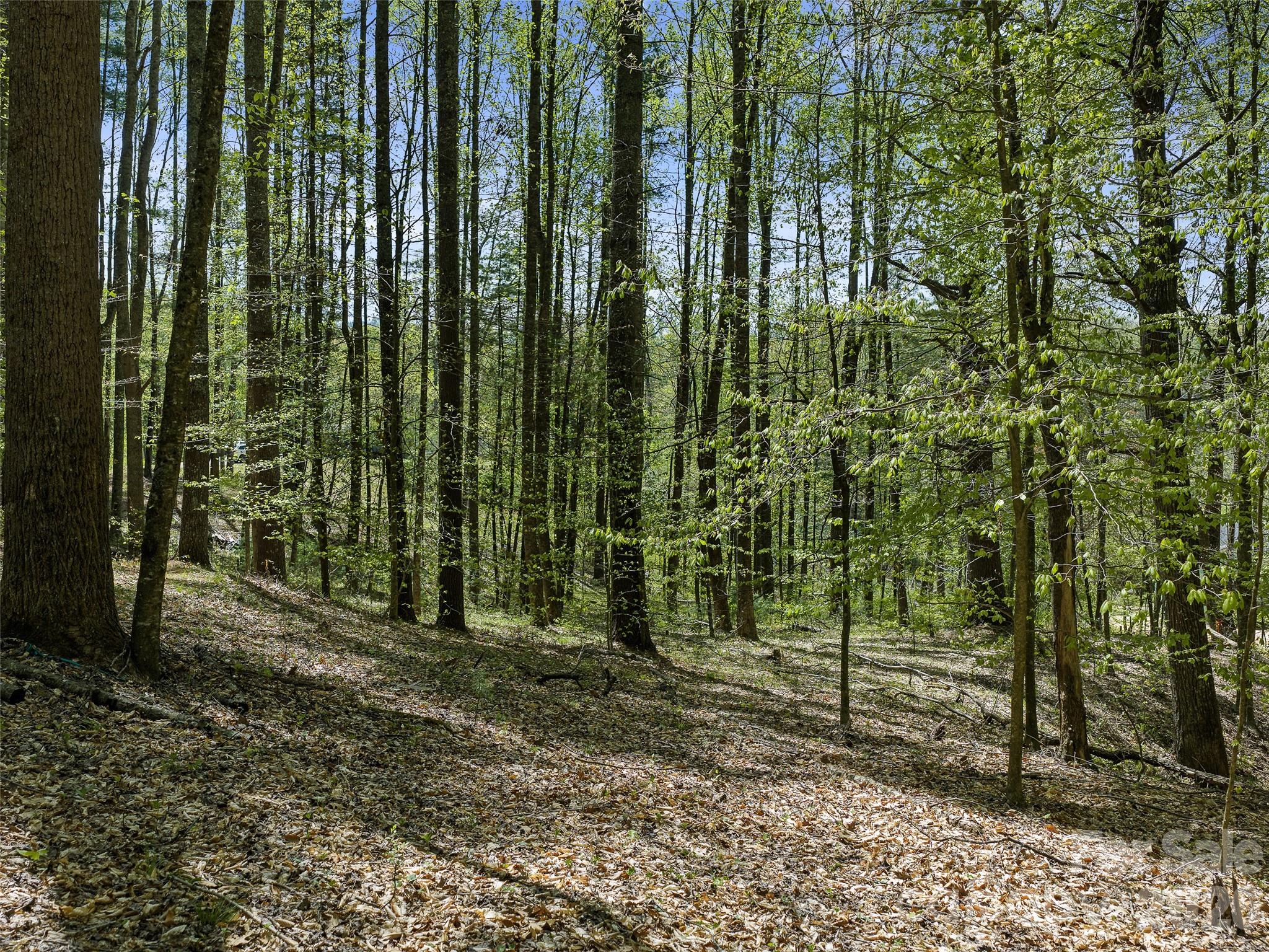105 Satinwood Drive Burnsville NC 28714